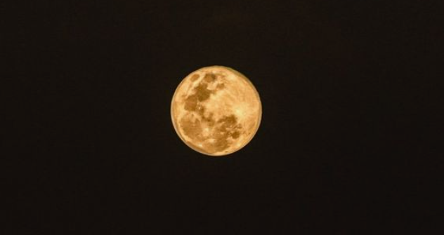 Virgo Full Moon : Full Snow Micro Moon – Luna and Fern
