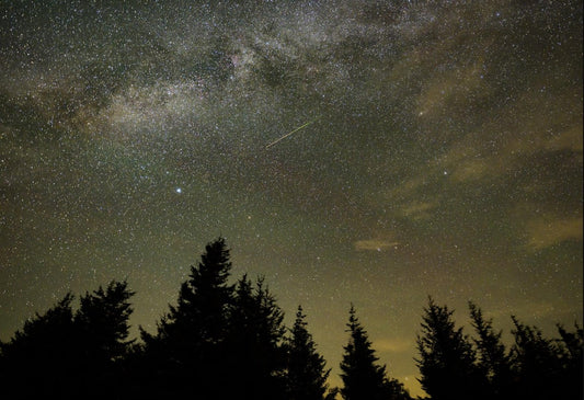 Delta Aquariid Meteor Shower