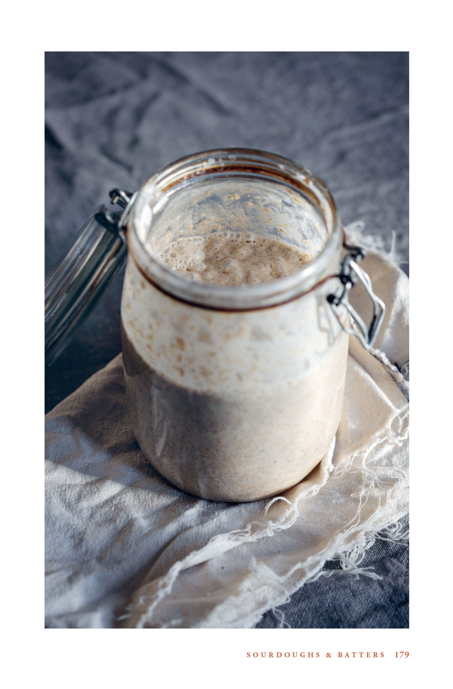 River Cottage Handbook 18: Fermentation