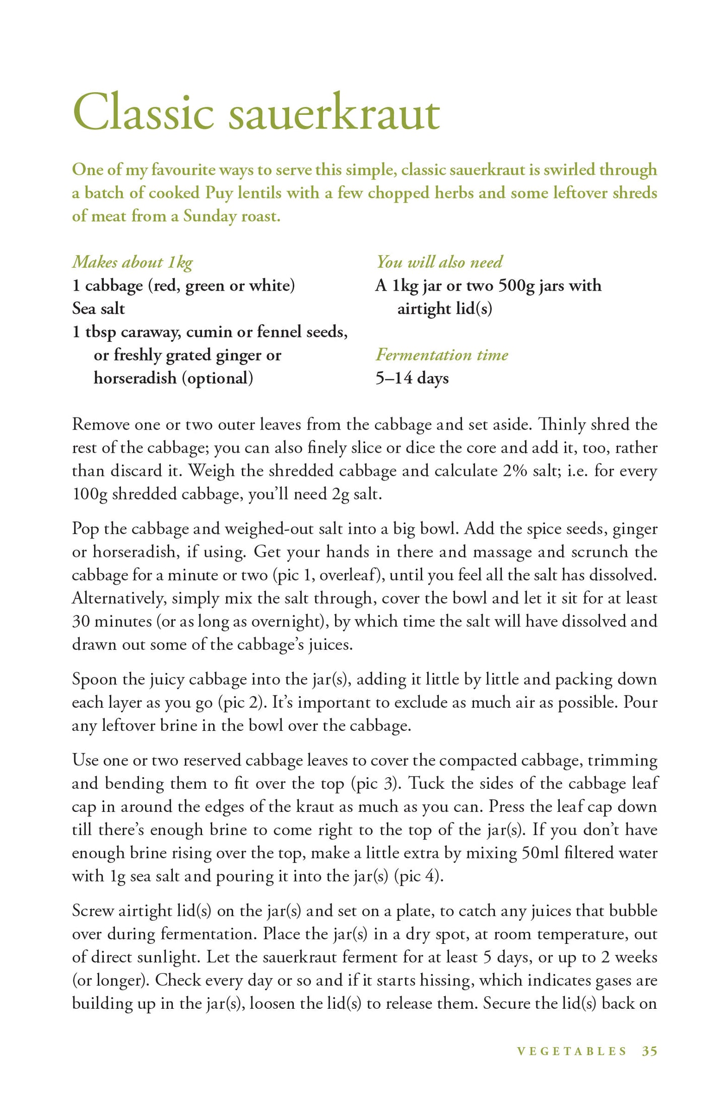 River Cottage Handbook 18: Fermentation