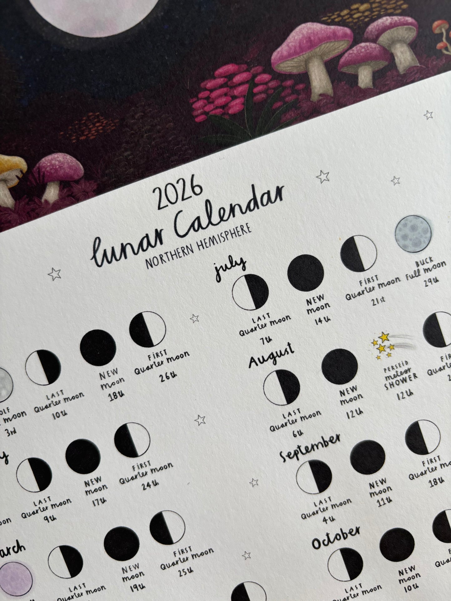 Mushrooms 2026 Lunar Calendar A4 Print